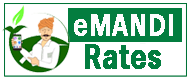 cropped emandirates logo